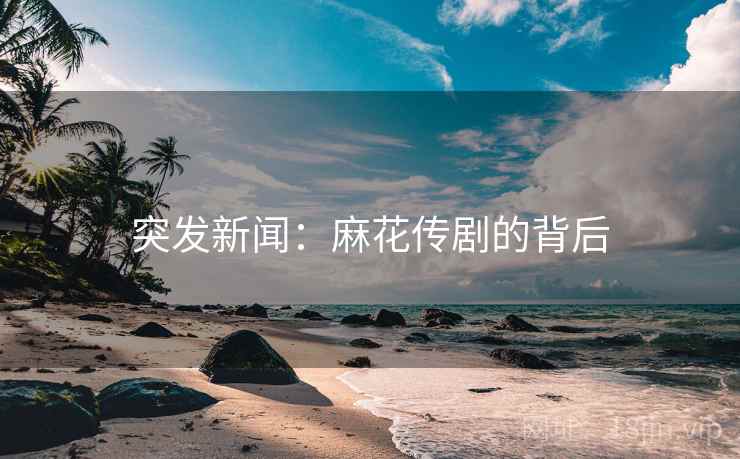 突发新闻:麻花传剧的背后