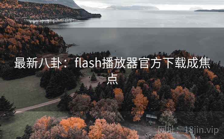最新八卦：flash播放器官方下载成焦点
