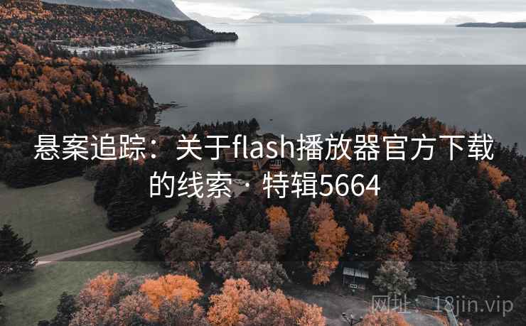 悬案追踪:关于flash播放器官方下载的线索 · 特辑5664