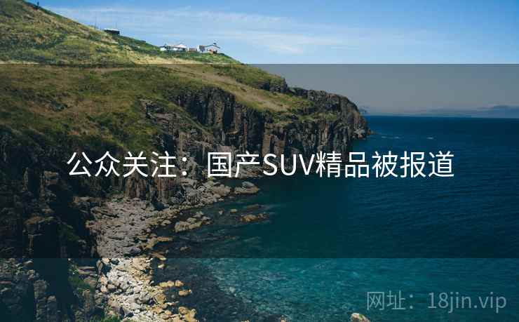 公众关注：国产SUV精品被报道