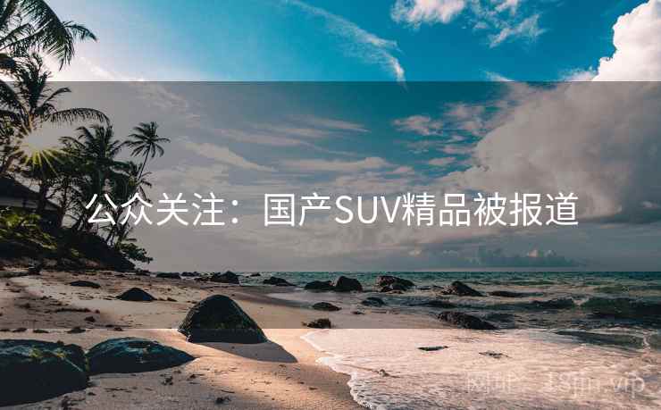 公众关注：国产SUV精品被报道